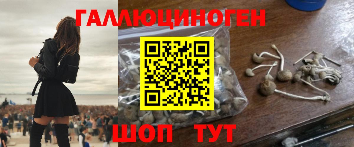 Псилоцибиновые грибы ЛСД  Вход с VPN  Галлюциногенные грибы GOLDEN TEACHER  Курганинск 